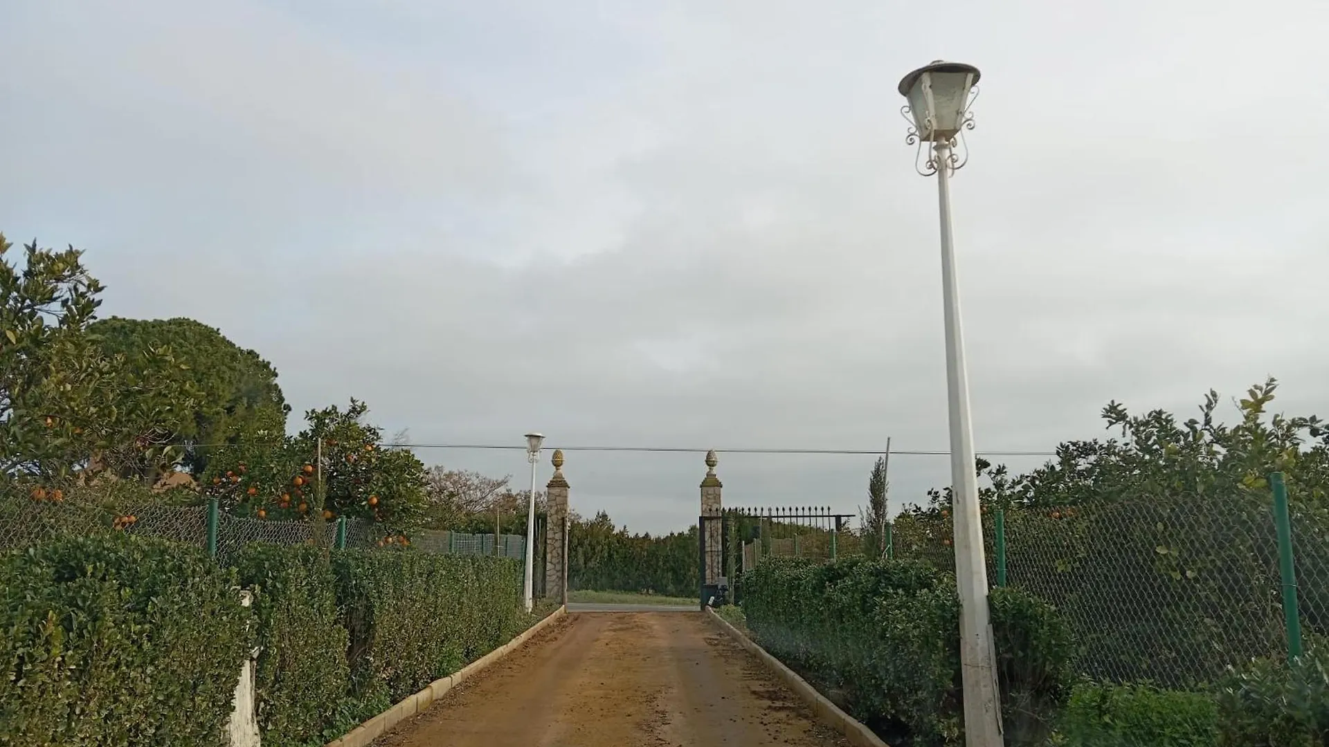 Villa Naranjo Sevilla